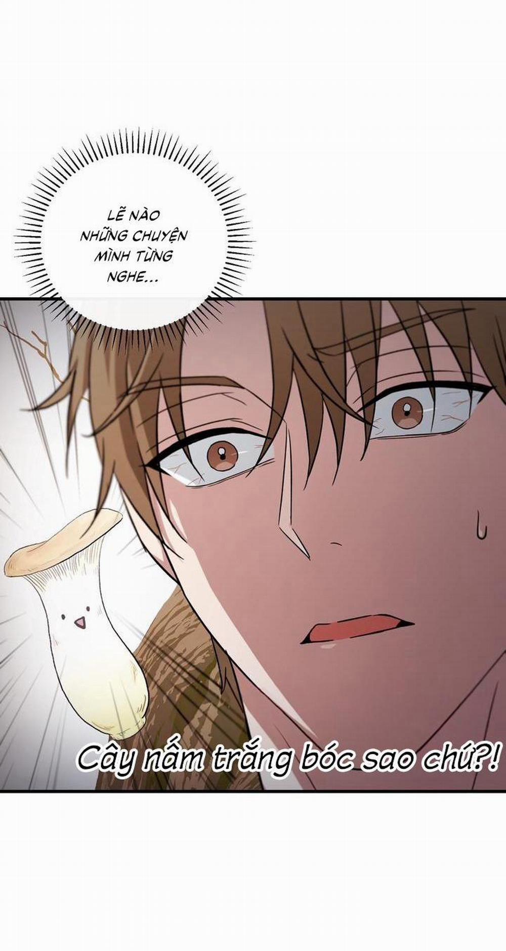 (Cbunu) Dẻo Dai Và Mềm Mại 2 trang 26