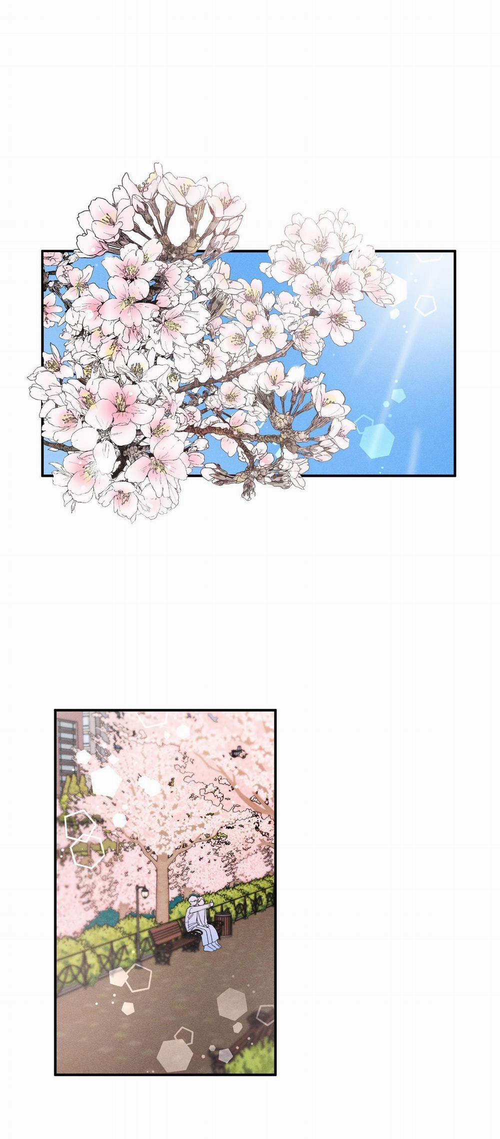 (Cbunu) Điểm Hẹn Tình Đơn Phương 9 trang 0