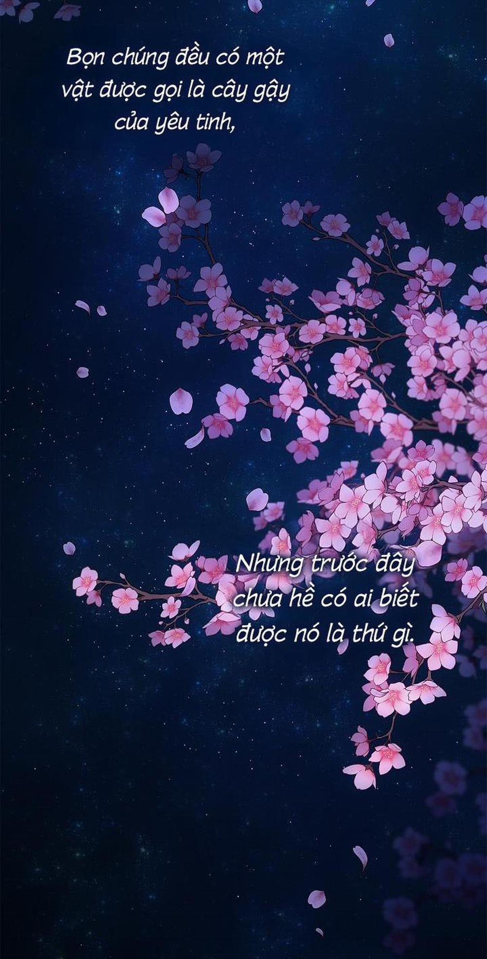 (CBunu) Đuổi Bắt Giữa Đêm Ngọt Ngào 0 trang 2