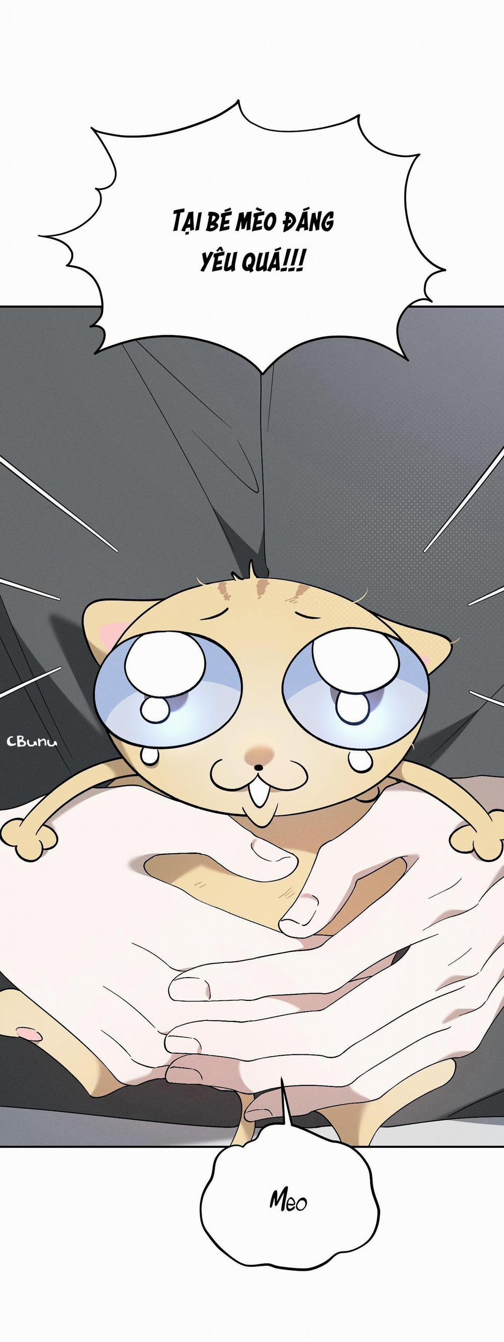 (Cbunu) Extra Virgin 6 H+ trang 4