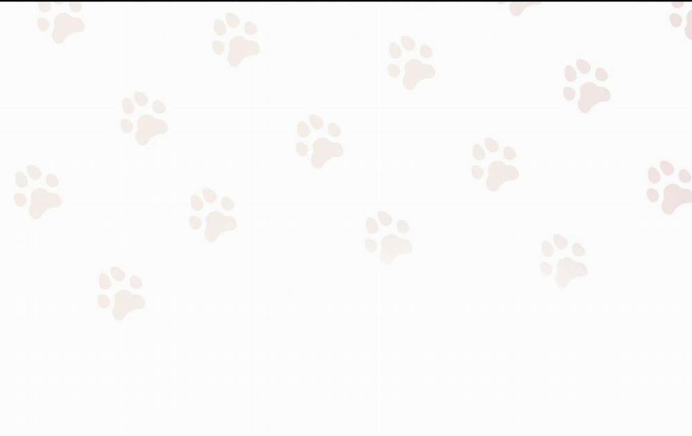 (Cbunu) Hồi Ức Của Nhịp Thở 8 trang 101