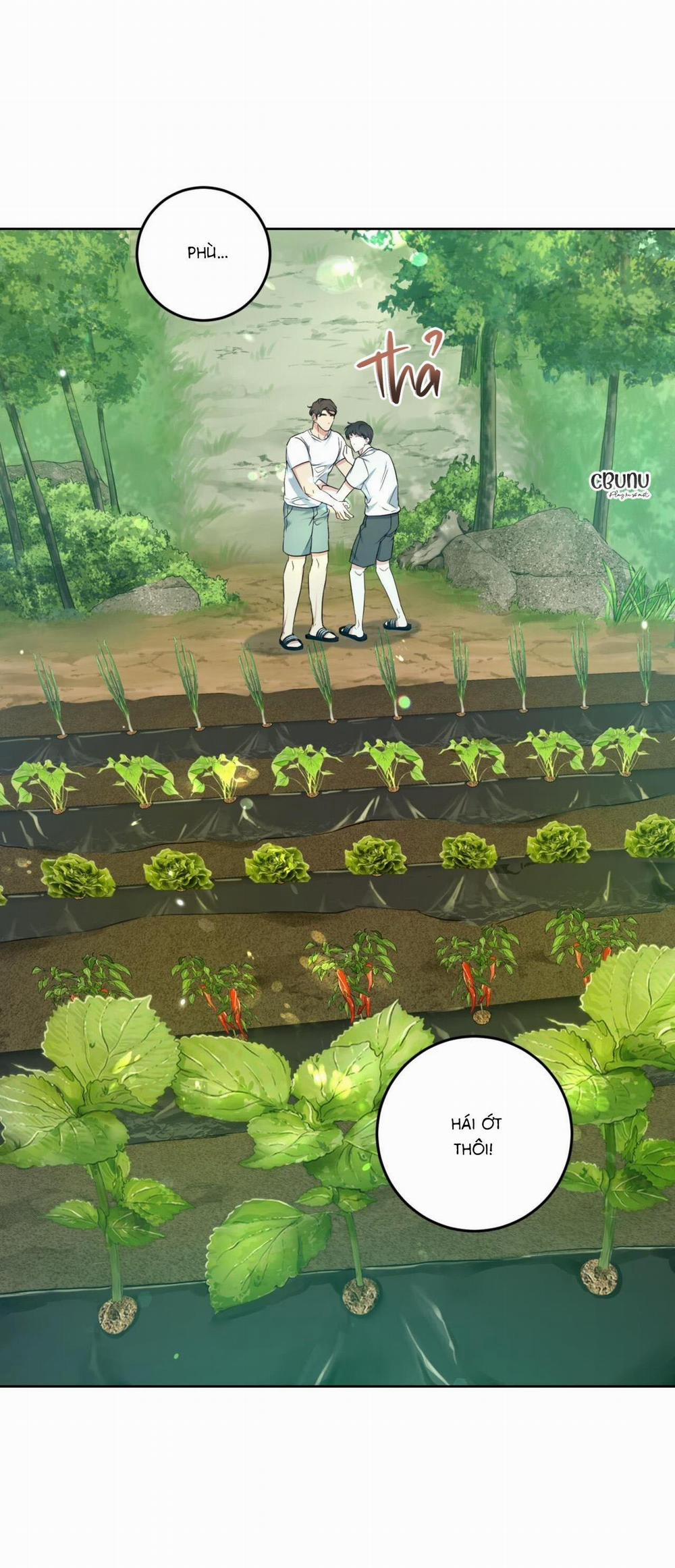 (Cbunu) Khu Rừng Tĩnh Lặng 3 trang 26