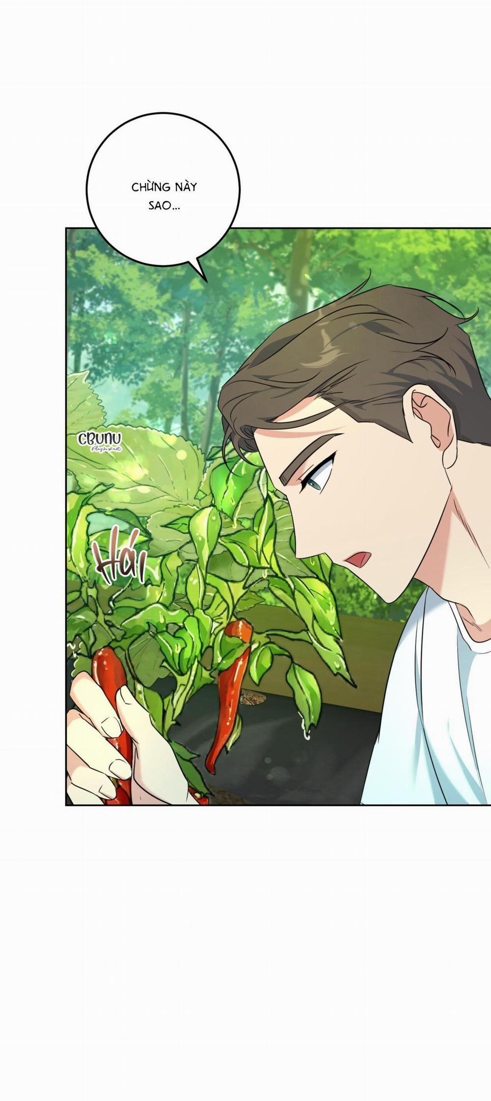 (Cbunu) Khu Rừng Tĩnh Lặng 3 trang 30