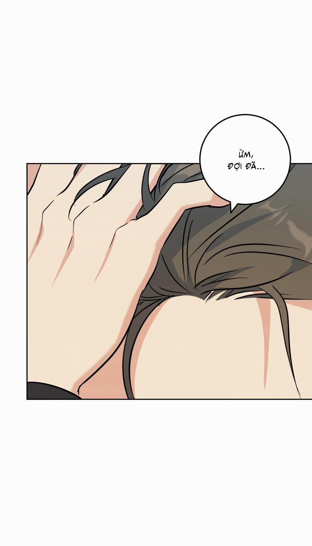 (Cbunu) Khu Rừng Tĩnh Lặng 49 trang 20