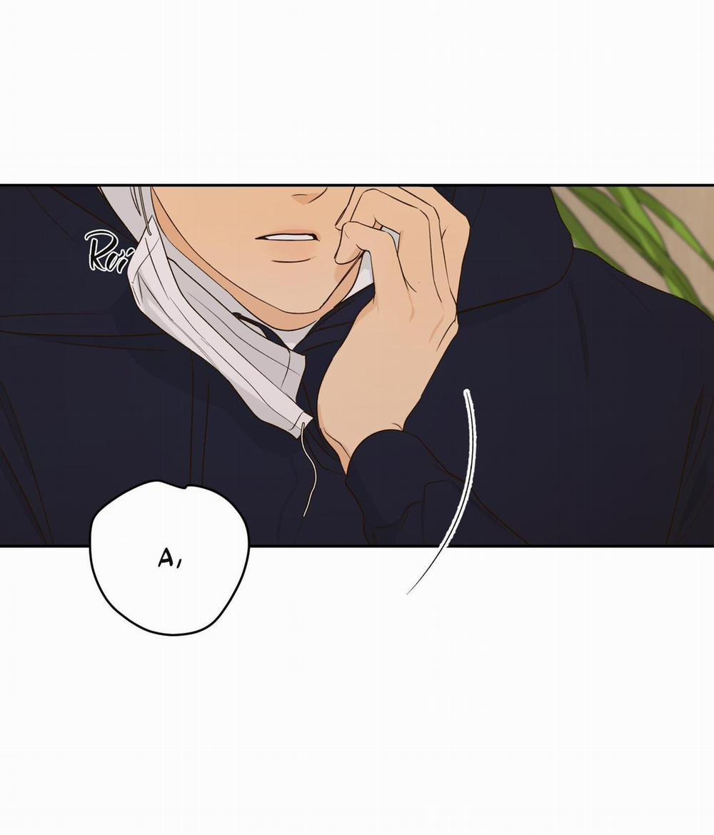 (Cbunu) Ngọn Gió Dịu Dàng 12 trang 42