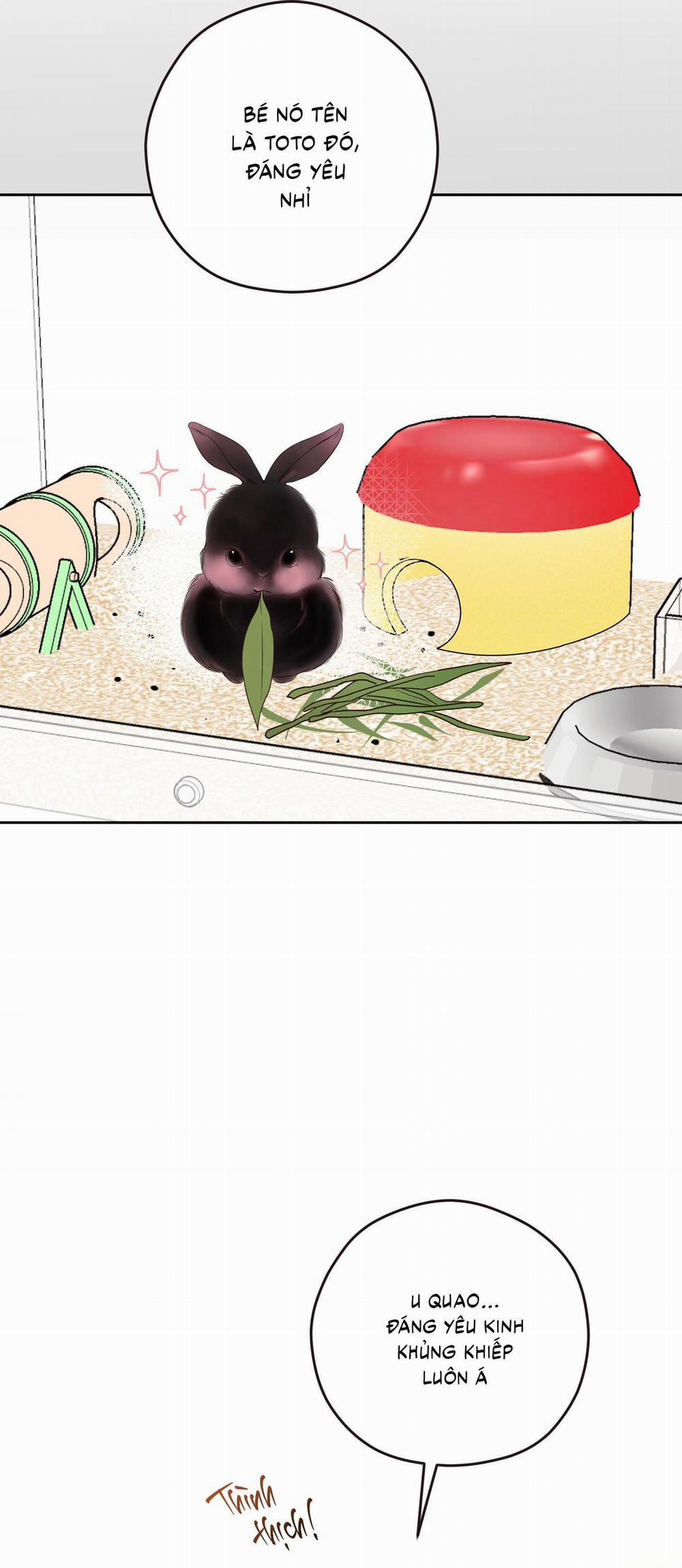 (Cbunu) Ngọn Gió Dịu Dàng 14 trang 44