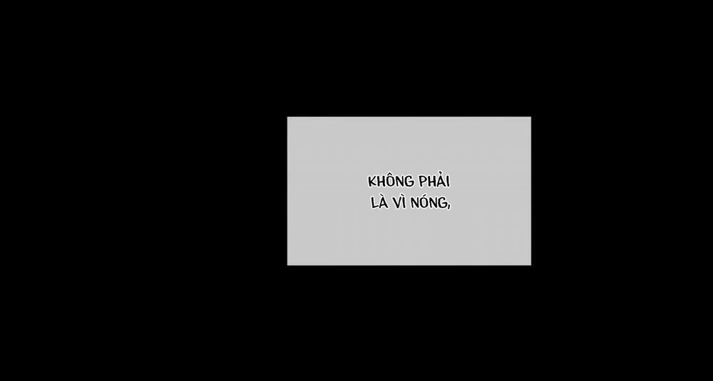 (Cbunu) Phạm Luật 21 trang 43