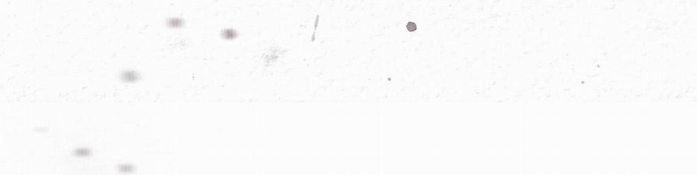 (Cbunu) Phạm Luật 49 trang 70