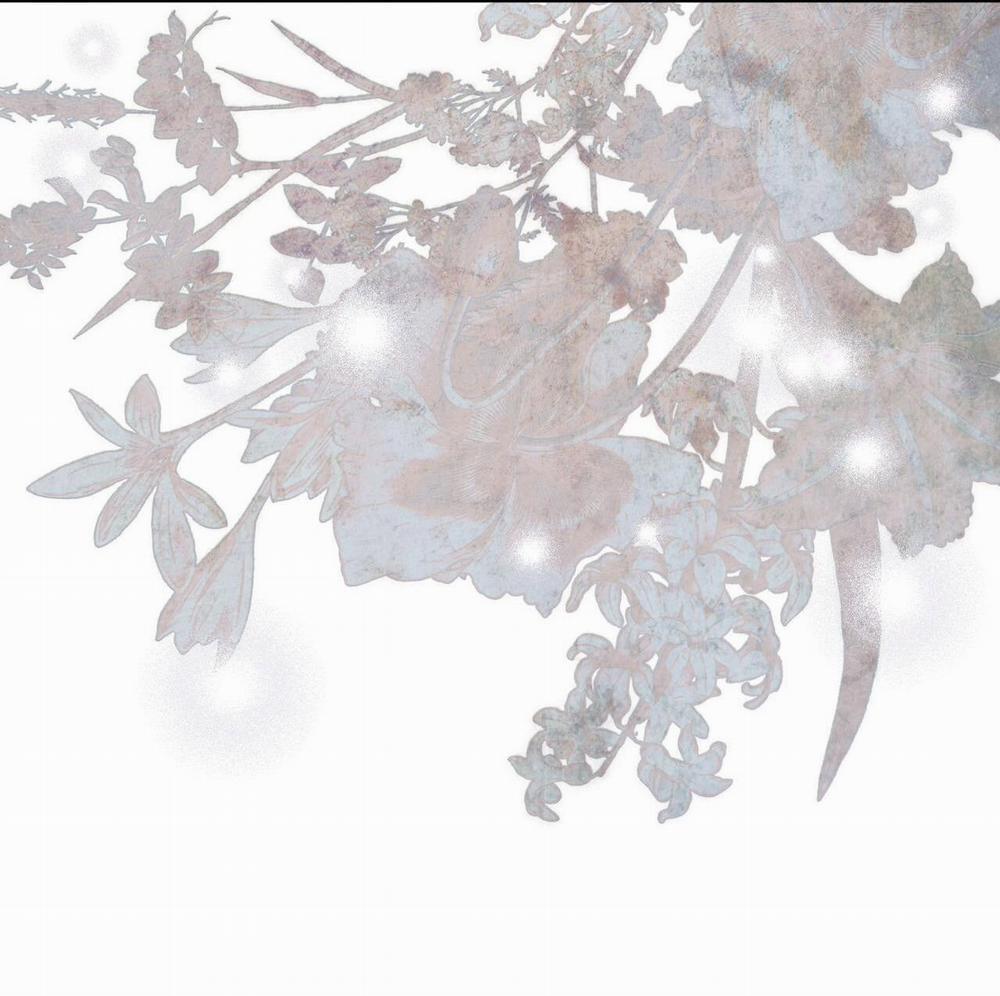 (Cbunu) Phạm Luật 50 trang 38