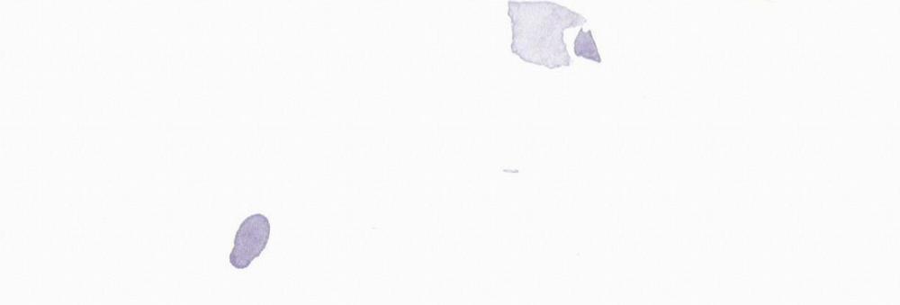 (Cbunu) Phạm Luật 53 H+ trang 51