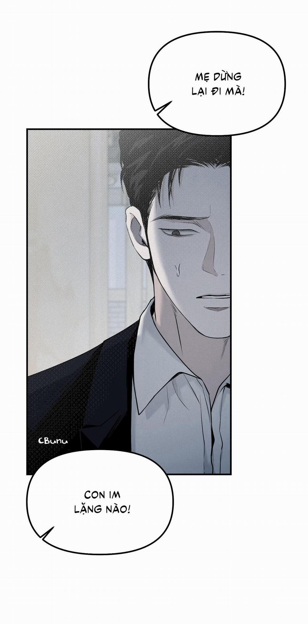 (Cbunu) Phép Chiếu 10 trang 3