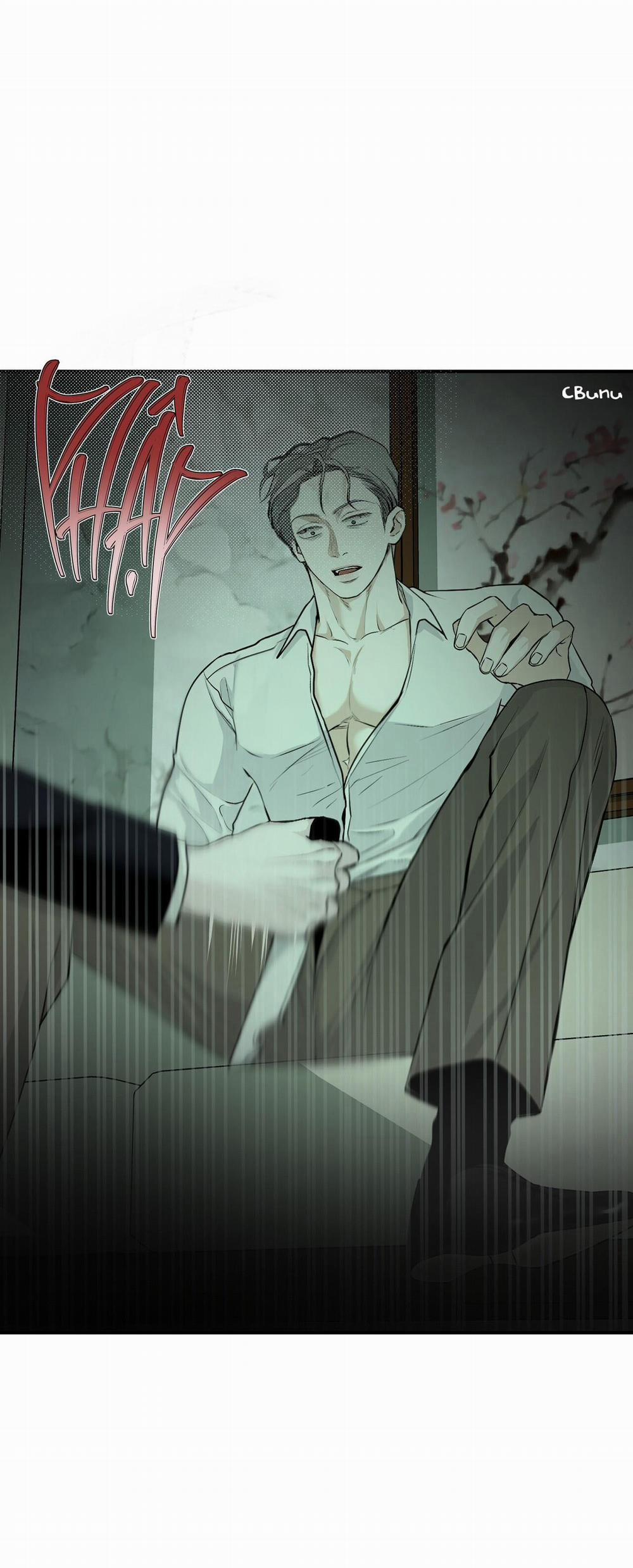 (Cbunu) Phép Chiếu 11 trang 1