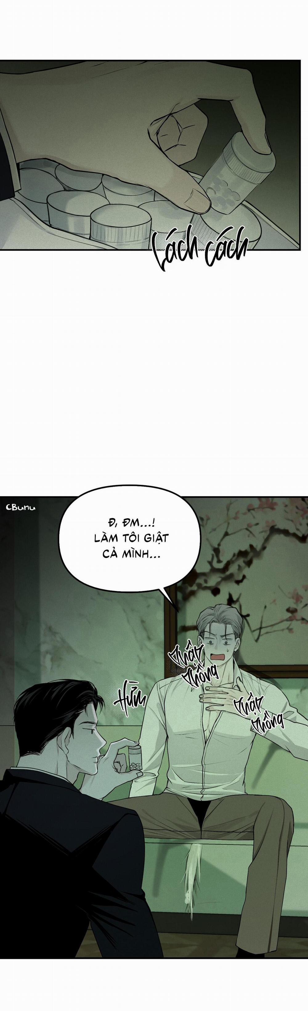 (Cbunu) Phép Chiếu 11 trang 3