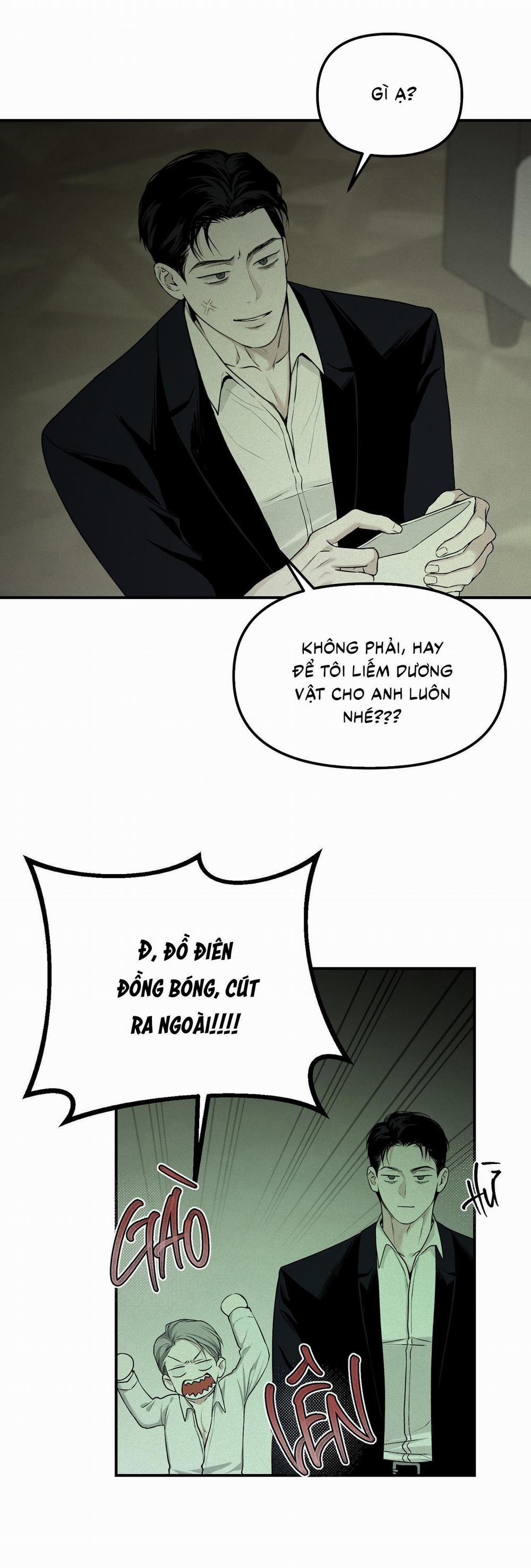 (Cbunu) Phép Chiếu 11 trang 5