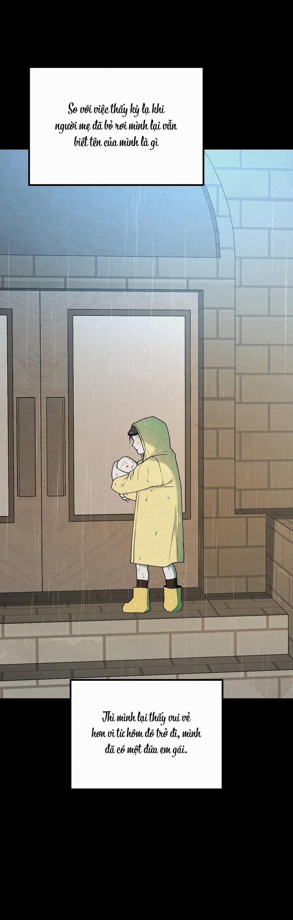 (Cbunu) Phép Chiếu 13 trang 11