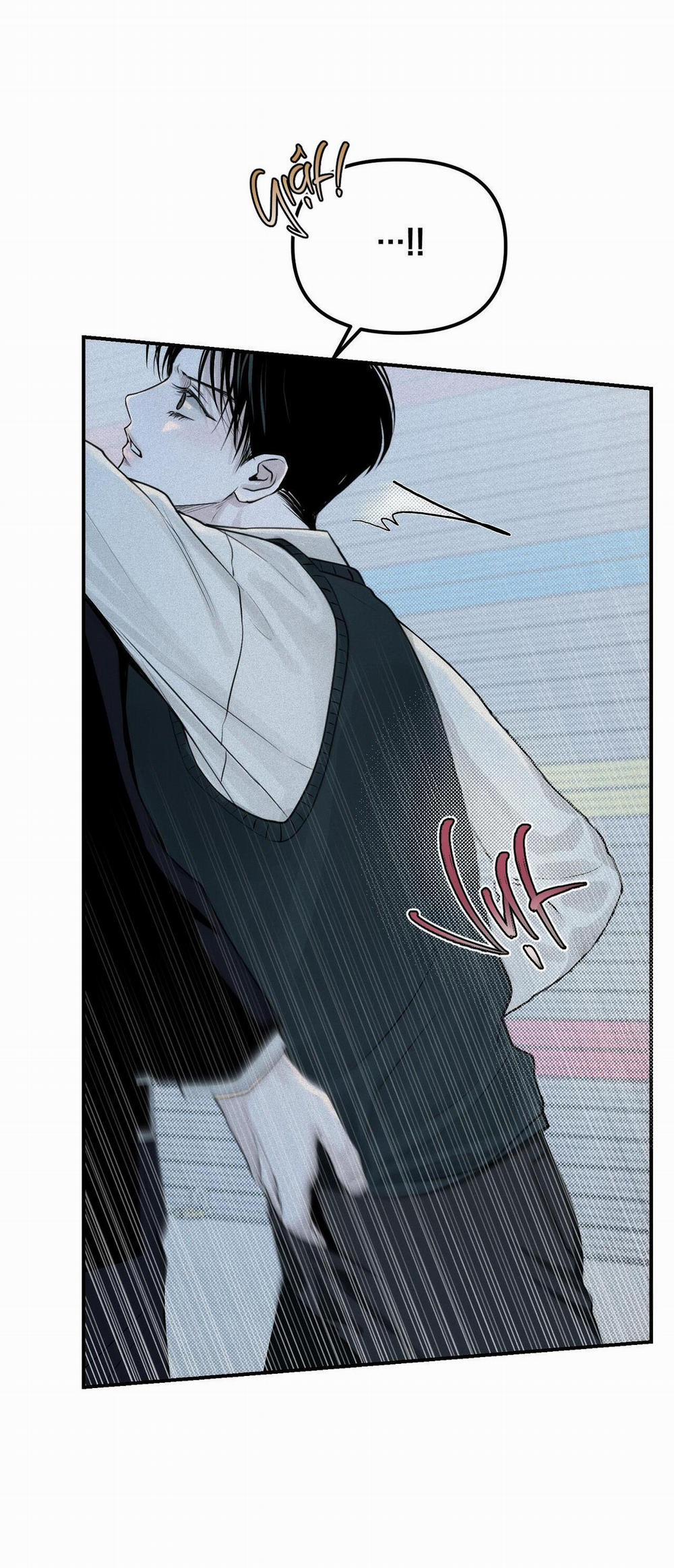 (Cbunu) Phép Chiếu 16 trang 11