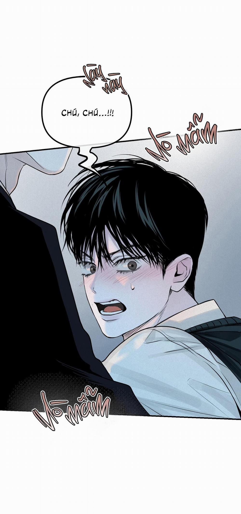 (Cbunu) Phép Chiếu 16 trang 12