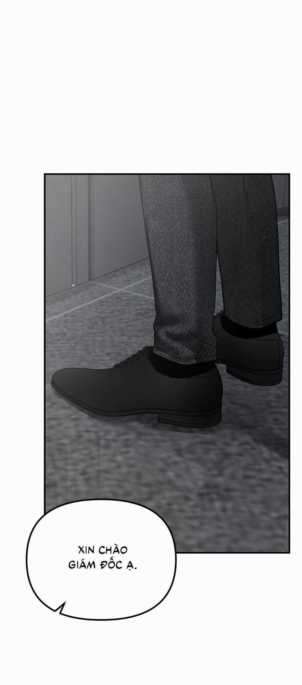 (Cbunu) Phép Chiếu 16 trang 44