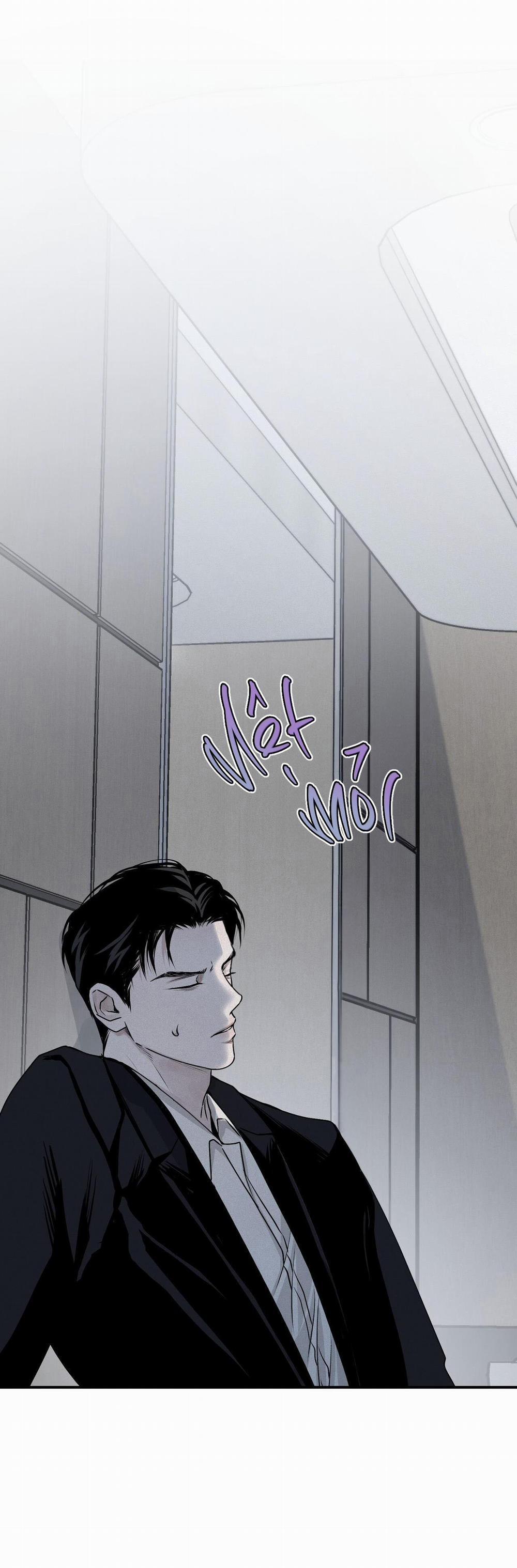 (Cbunu) Phép Chiếu 17 trang 19