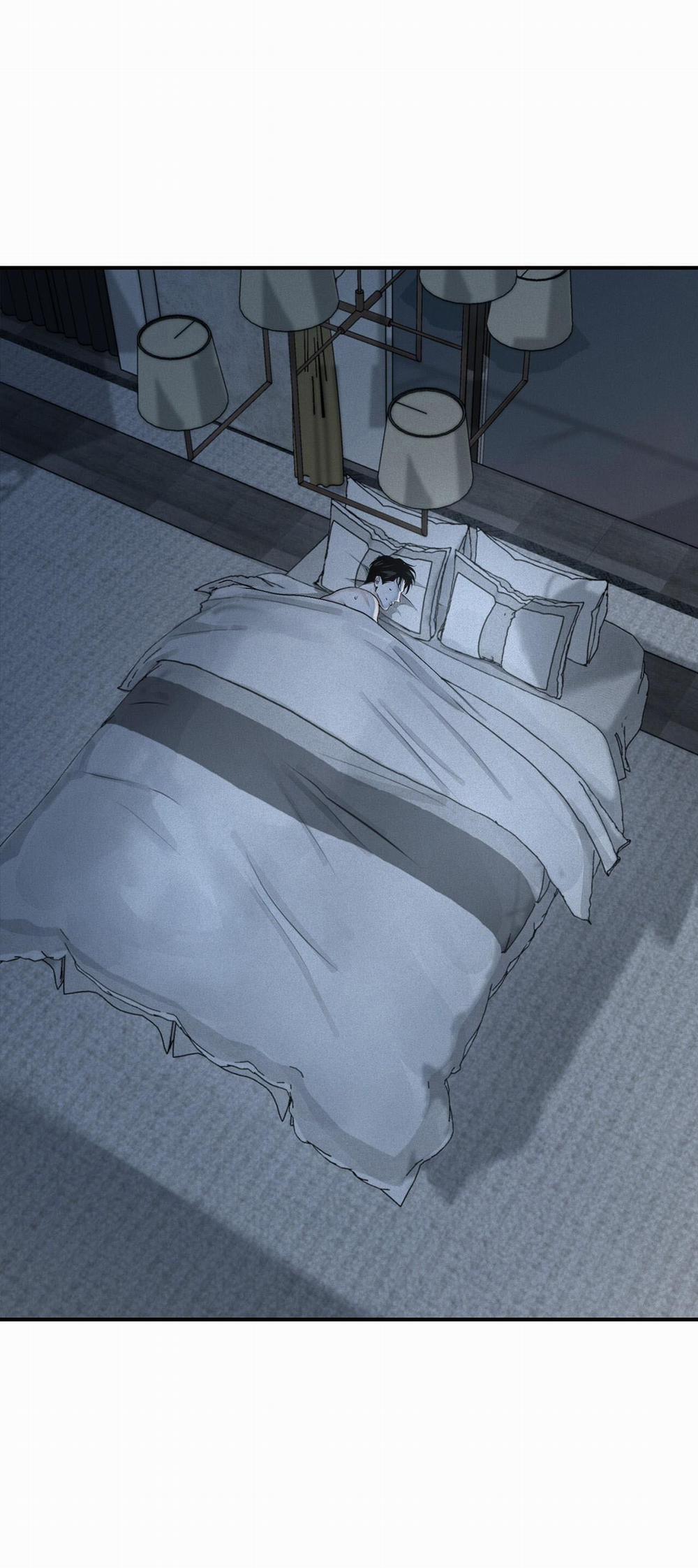 (Cbunu) Phép Chiếu 18 trang 0