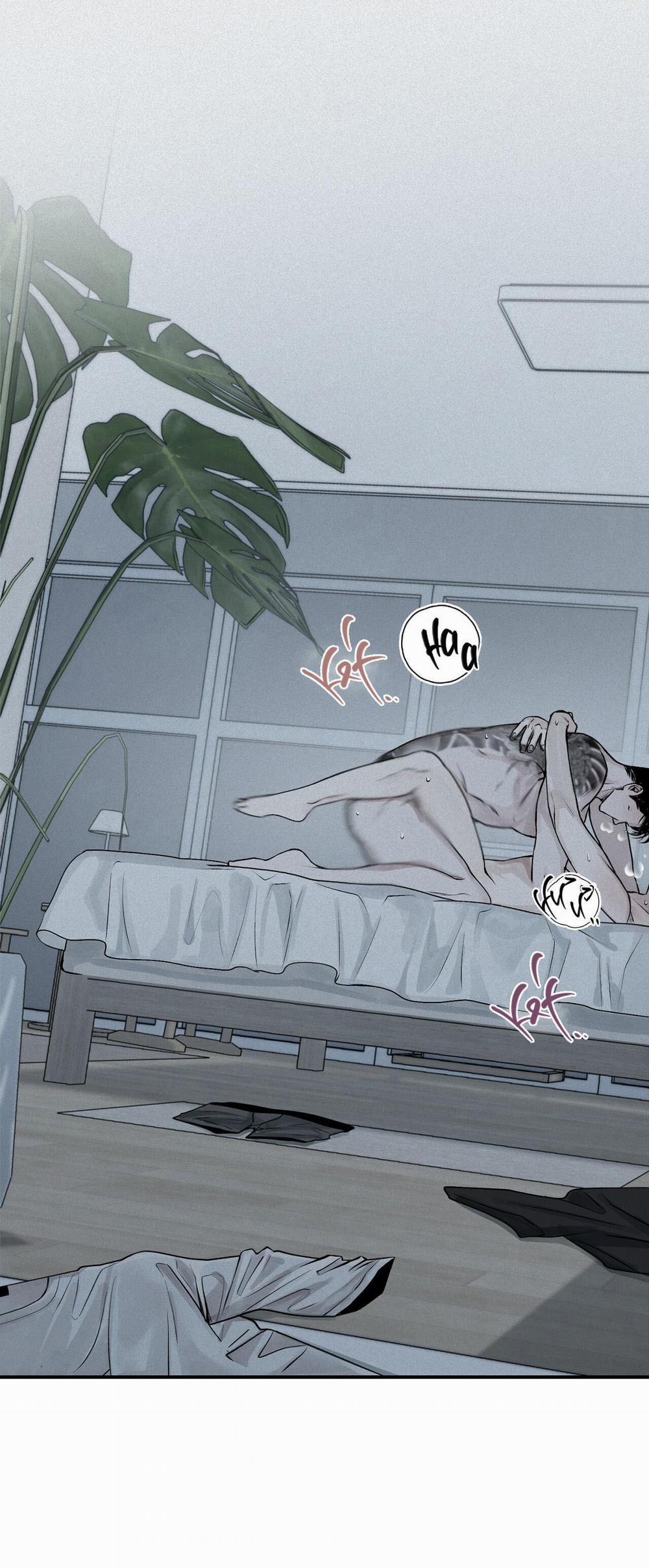 (Cbunu) Phép Chiếu 19 H+ trang 0