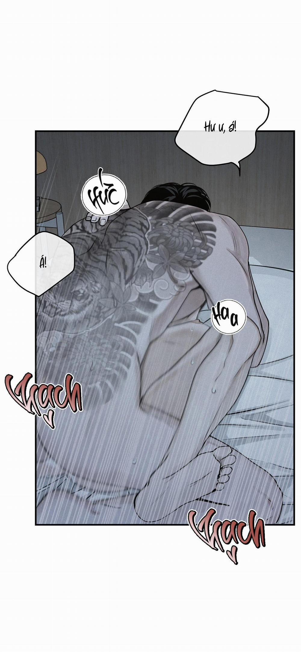 (Cbunu) Phép Chiếu 19 trang 1