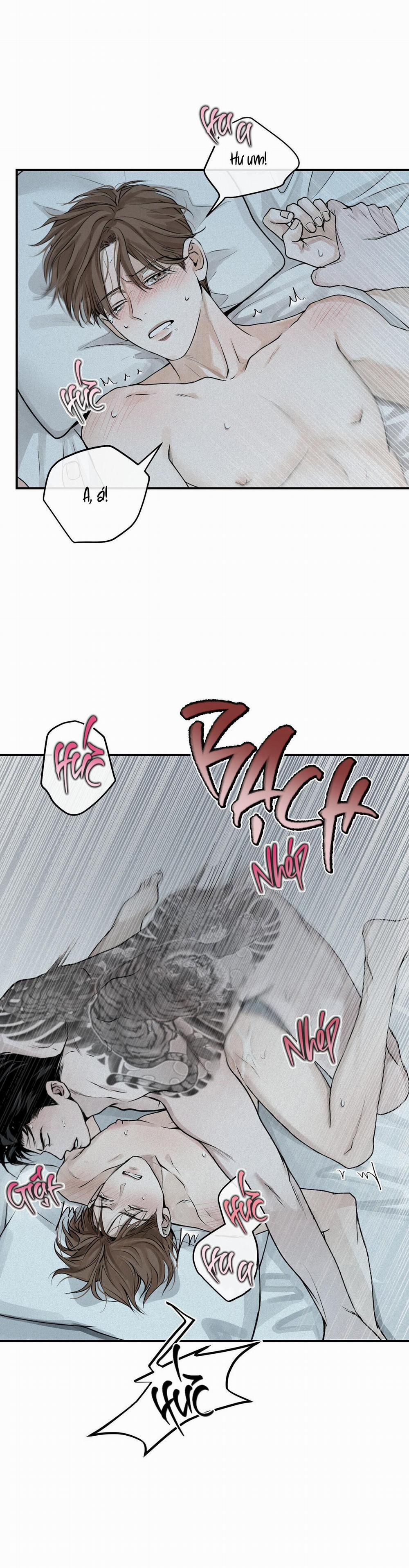 (Cbunu) Phép Chiếu 19 trang 3