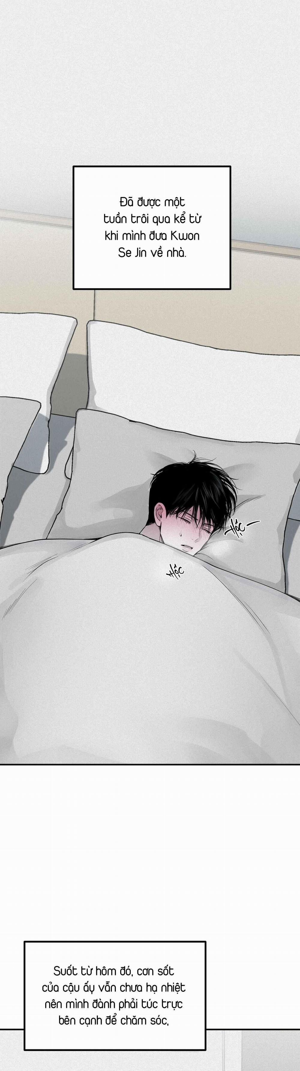 (Cbunu) Phép Chiếu 26 trang 0