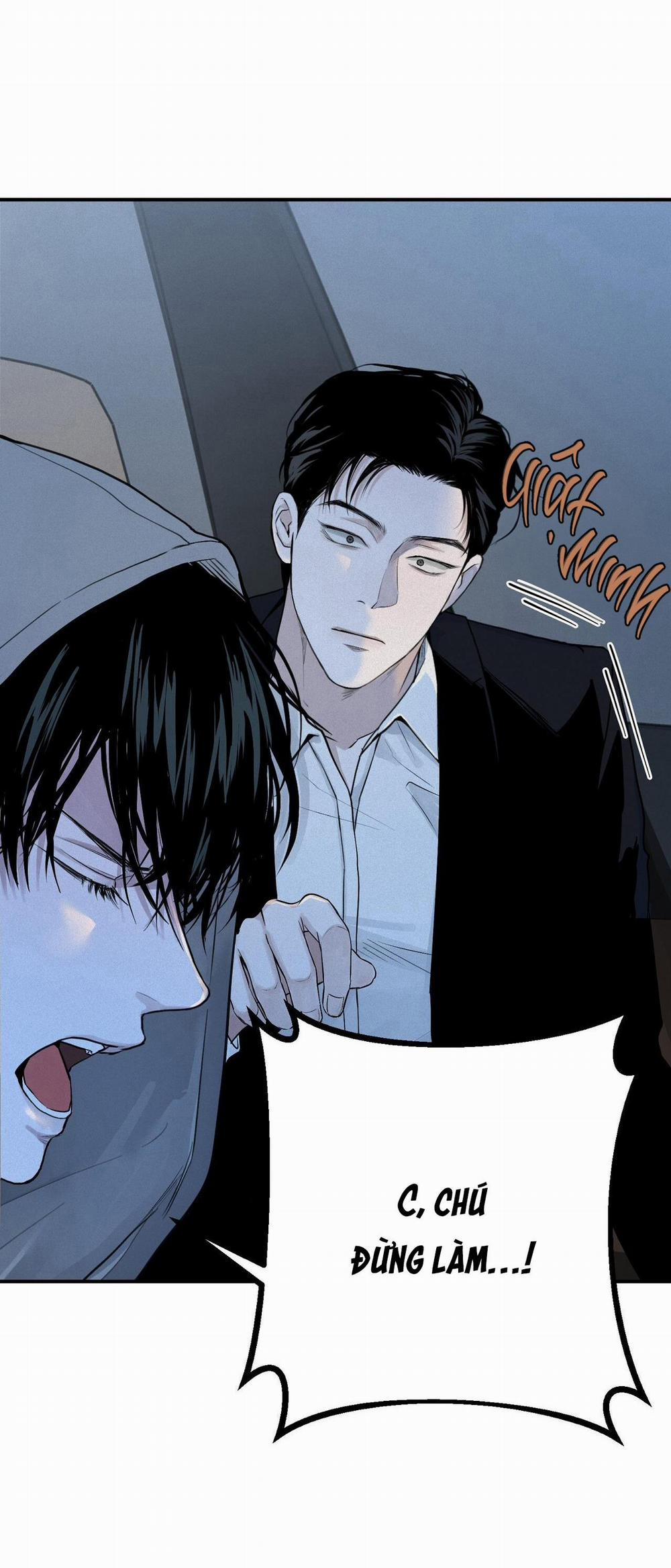 (Cbunu) Phép Chiếu 4 trang 7