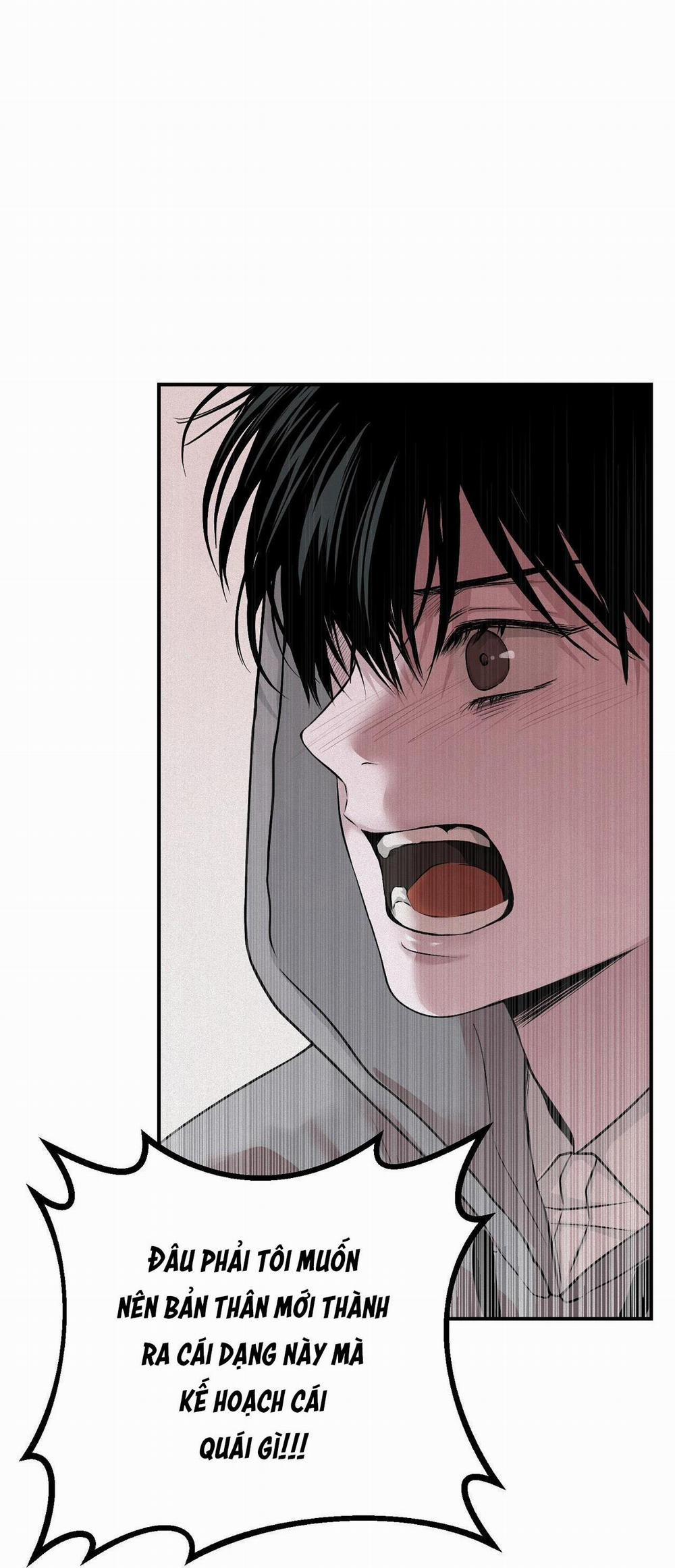 (Cbunu) Phép Chiếu 7 trang 14