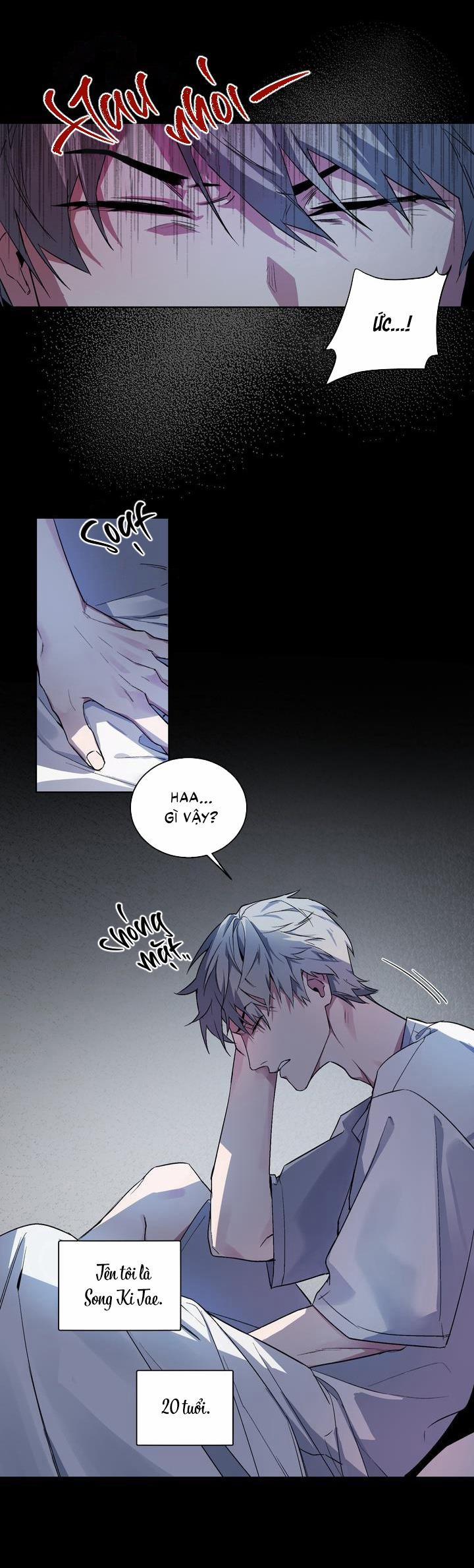 (Cbunu) Series Giáo Điều Cún Cưng 4 Bộ 2 trang 1