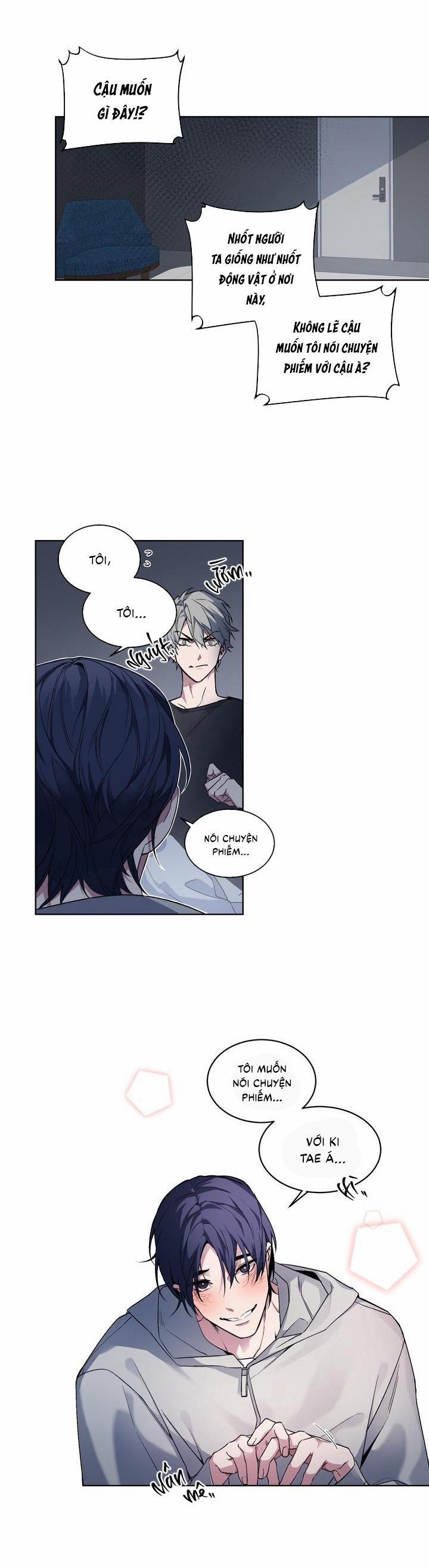 (Cbunu) Series Giáo Điều Cún Cưng 4 Bộ 2 trang 8