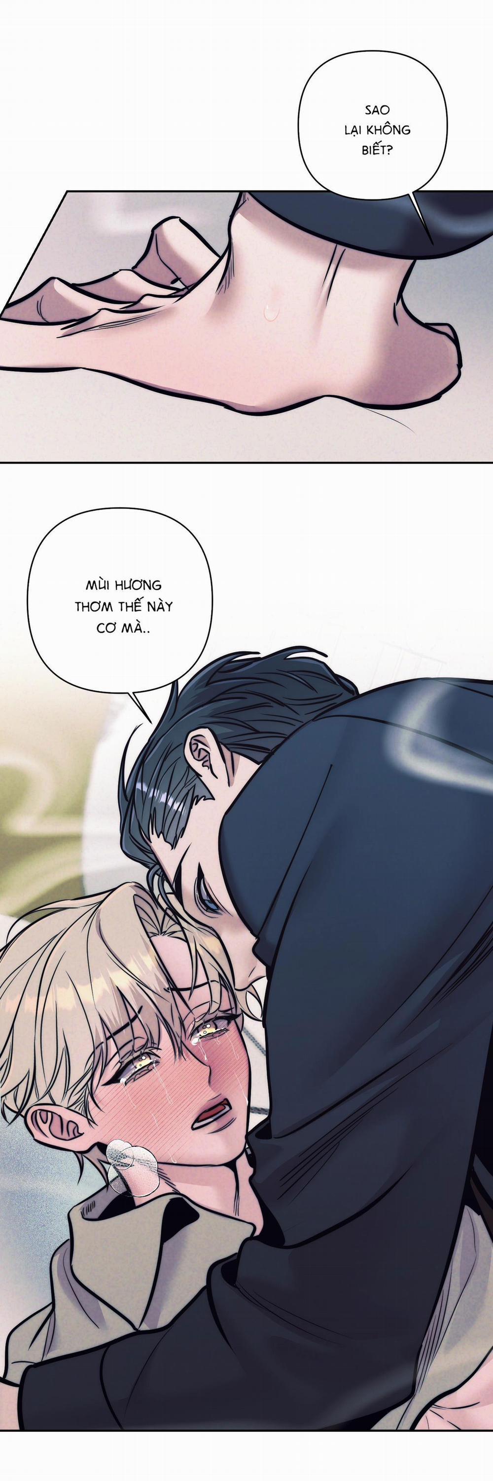 (Cbunu) Stigma 20 trang 42