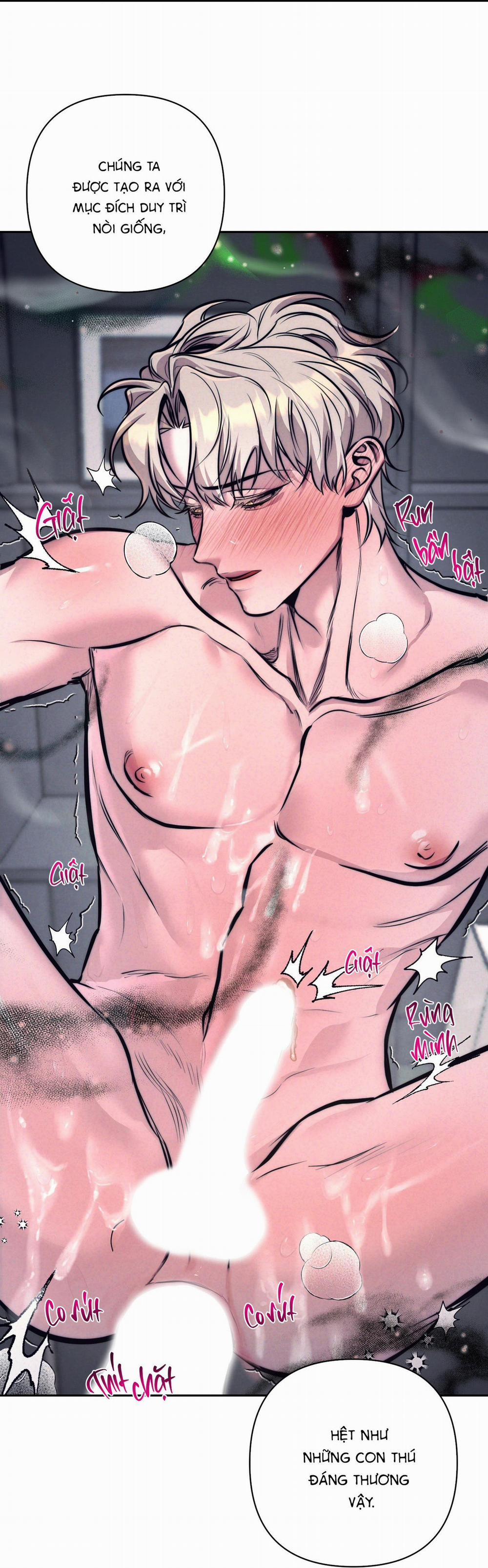 (Cbunu) Stigma 6 H+ trang 19