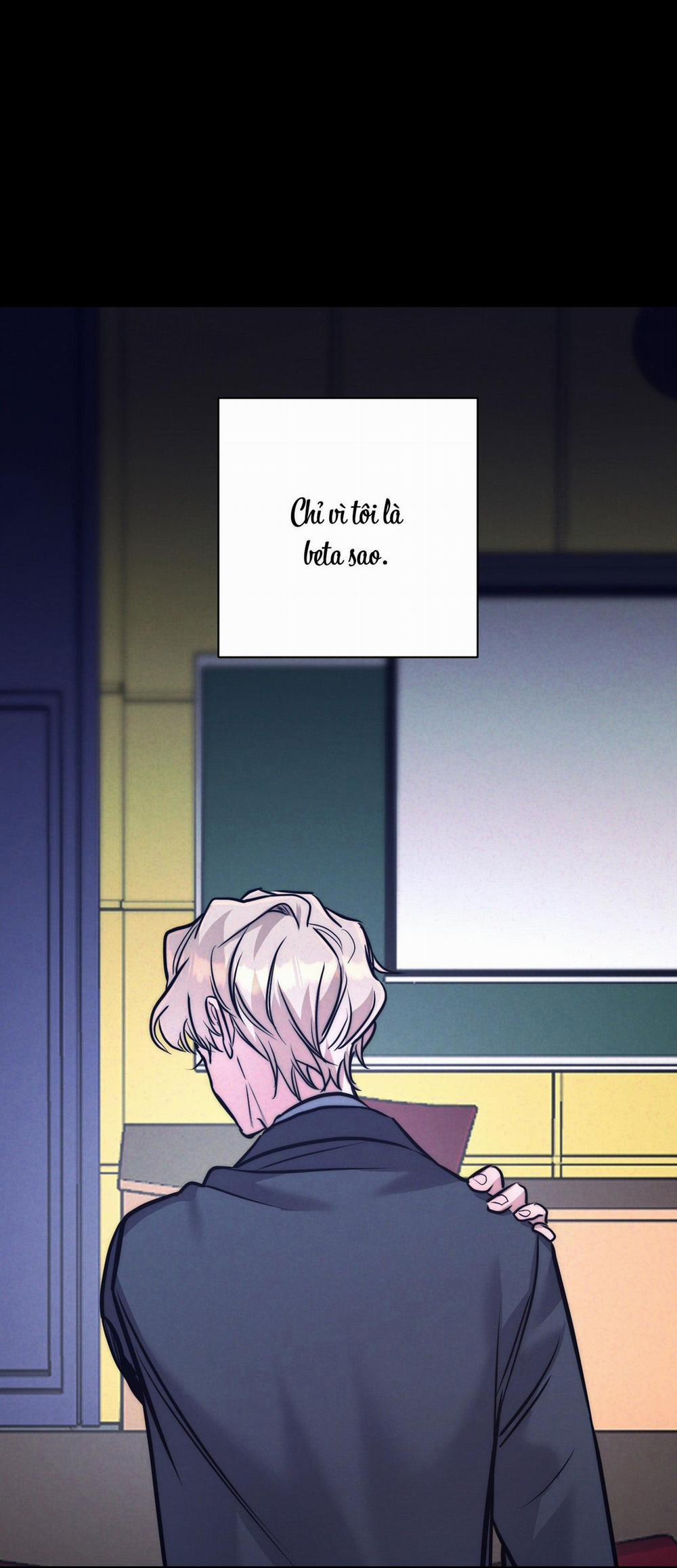 (Cbunu) Stigma 6 trang 47