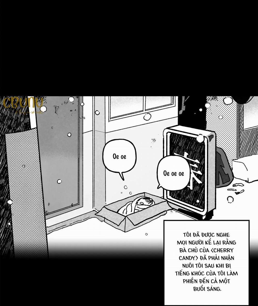 (Cbunu) Sự Kết Hợp Hoàn Hảo 1 trang 5