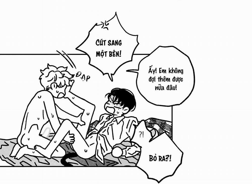 (Cbunu) Sự Kết Hợp Hoàn Hảo 11 trang 5