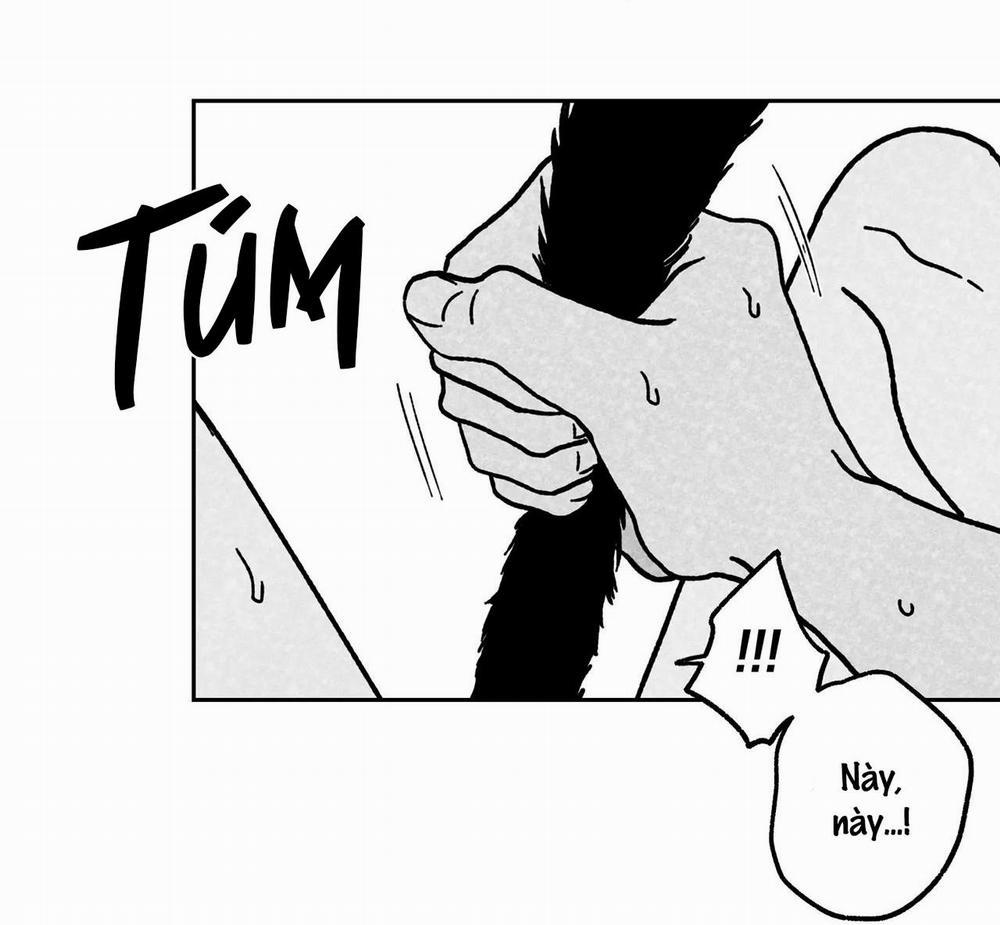 (Cbunu) Sự Kết Hợp Hoàn Hảo 11 trang 6