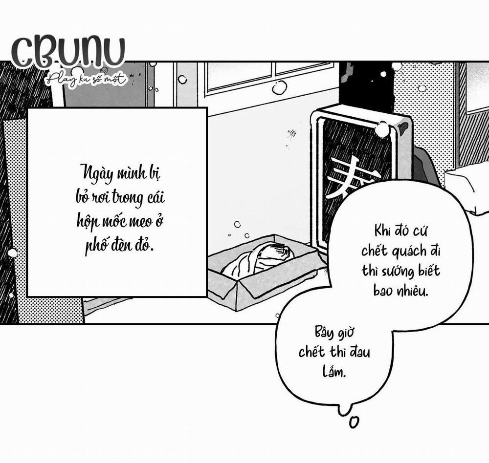 (Cbunu) Sự Kết Hợp Hoàn Hảo 16 trang 59