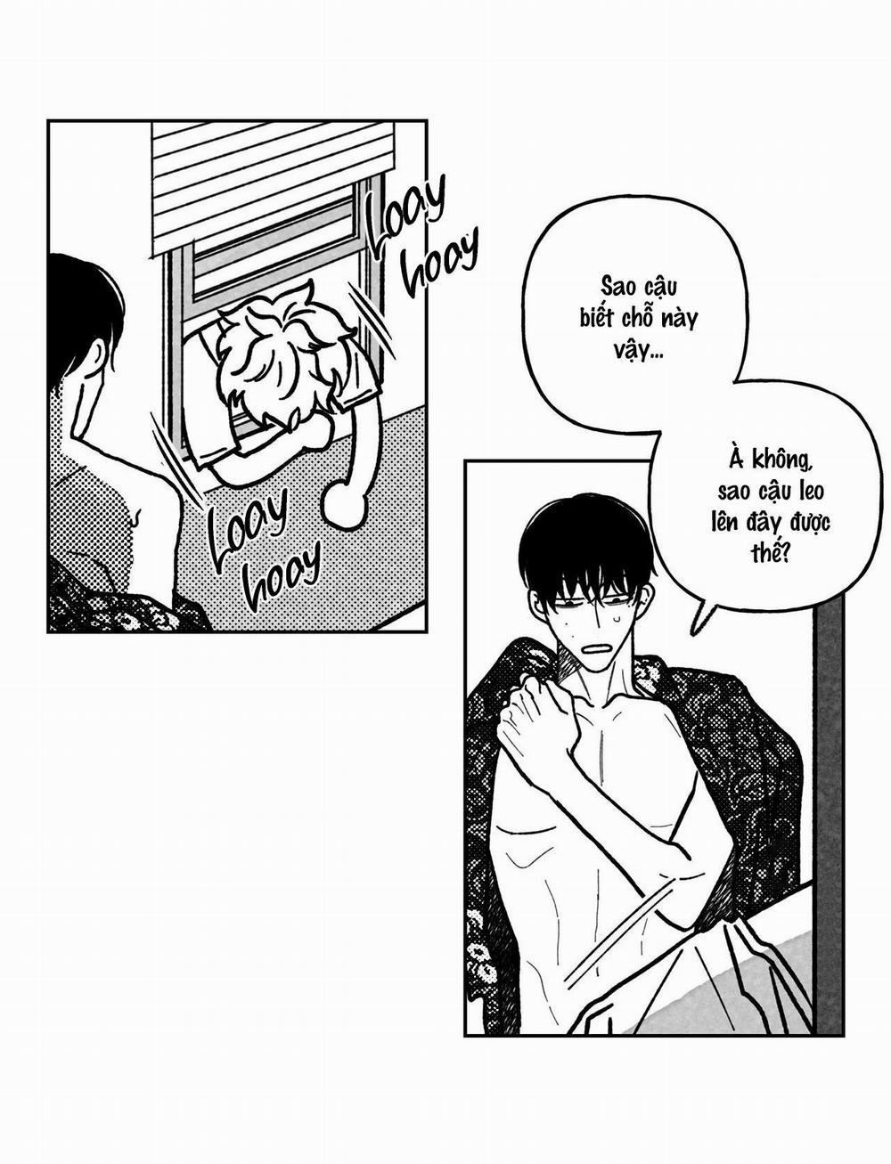 (Cbunu) Sự Kết Hợp Hoàn Hảo 17 trang 10