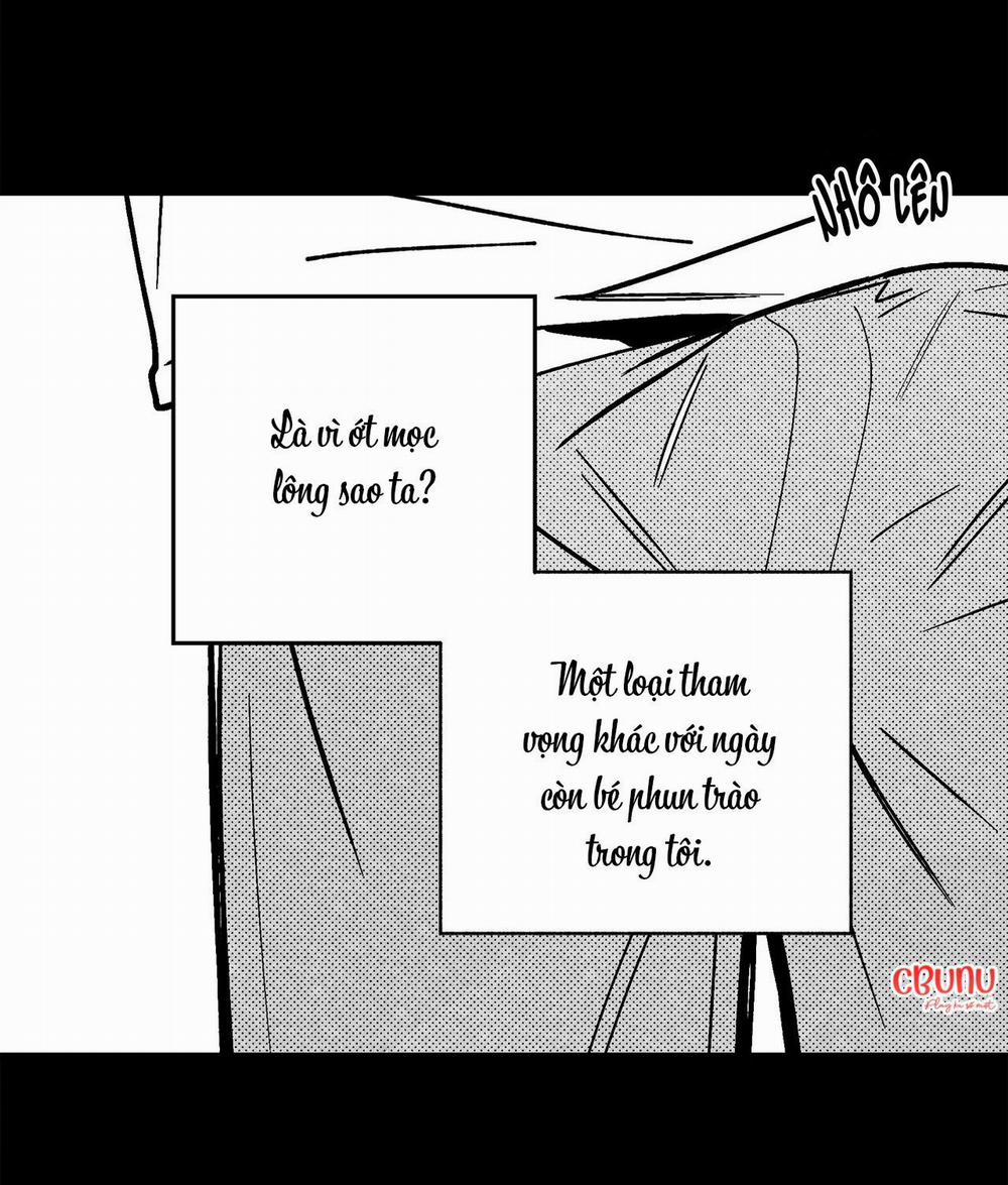 (Cbunu) Sự Kết Hợp Hoàn Hảo 19 trang 19