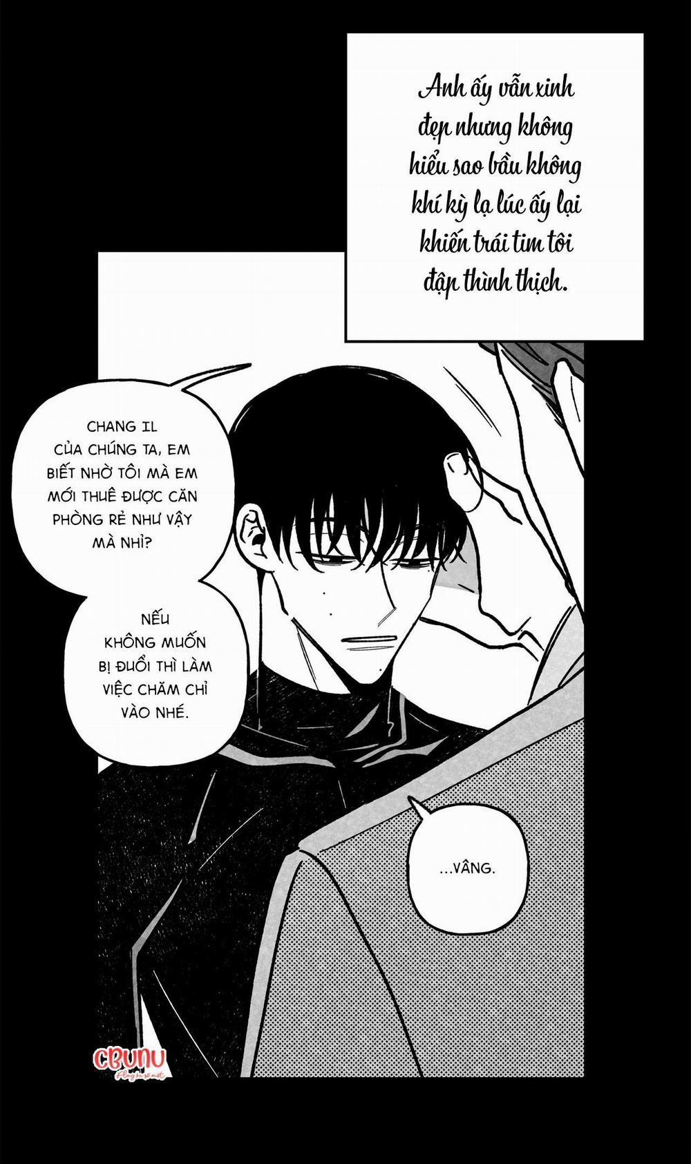 (Cbunu) Sự Kết Hợp Hoàn Hảo 19 trang 8