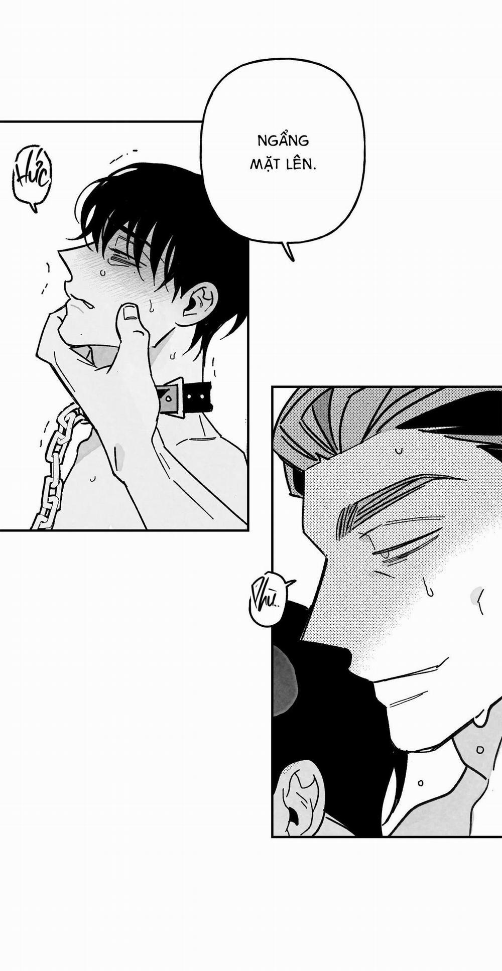 (Cbunu) Sự Kết Hợp Hoàn Hảo 24 trang 31