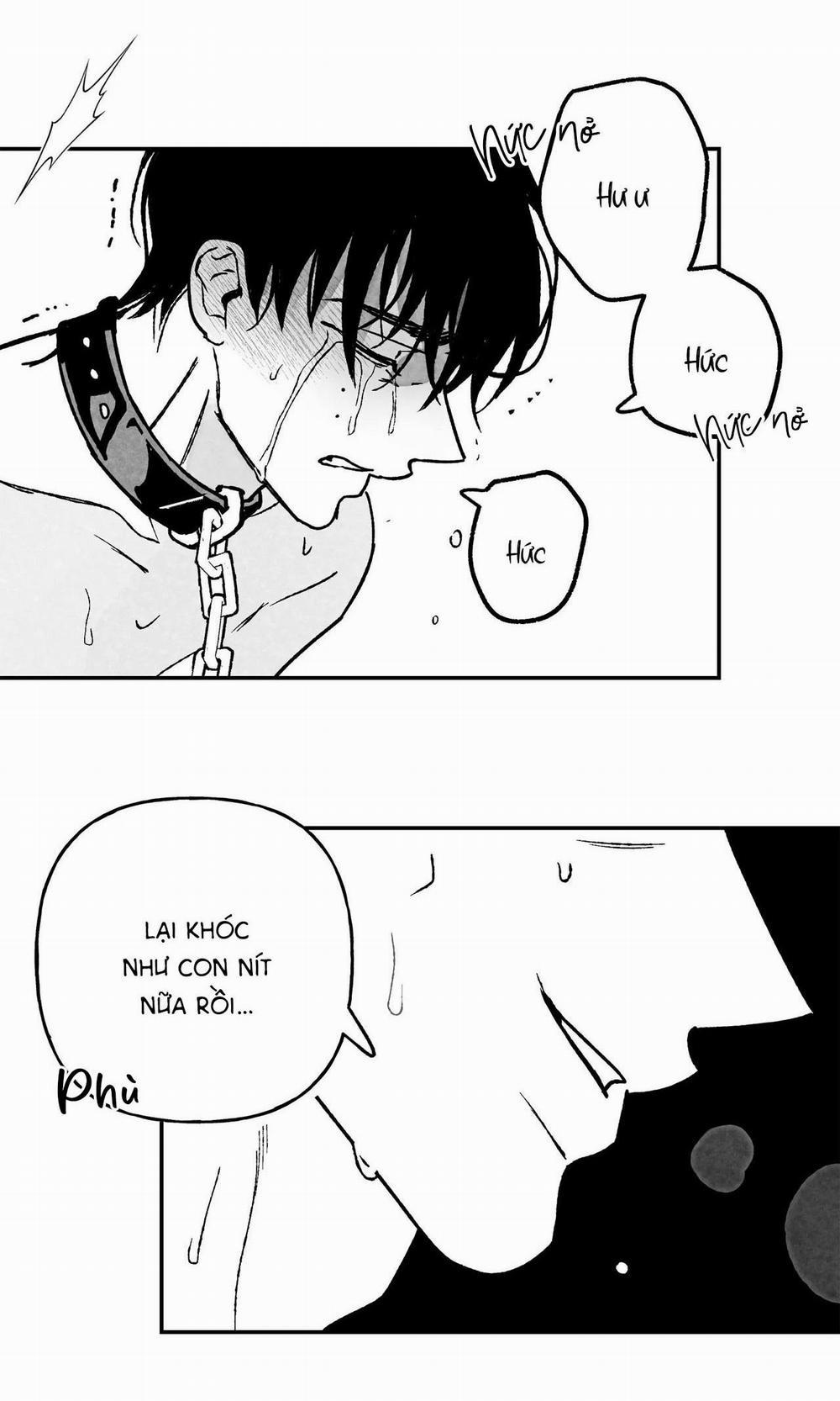 (Cbunu) Sự Kết Hợp Hoàn Hảo 25 H+ trang 17