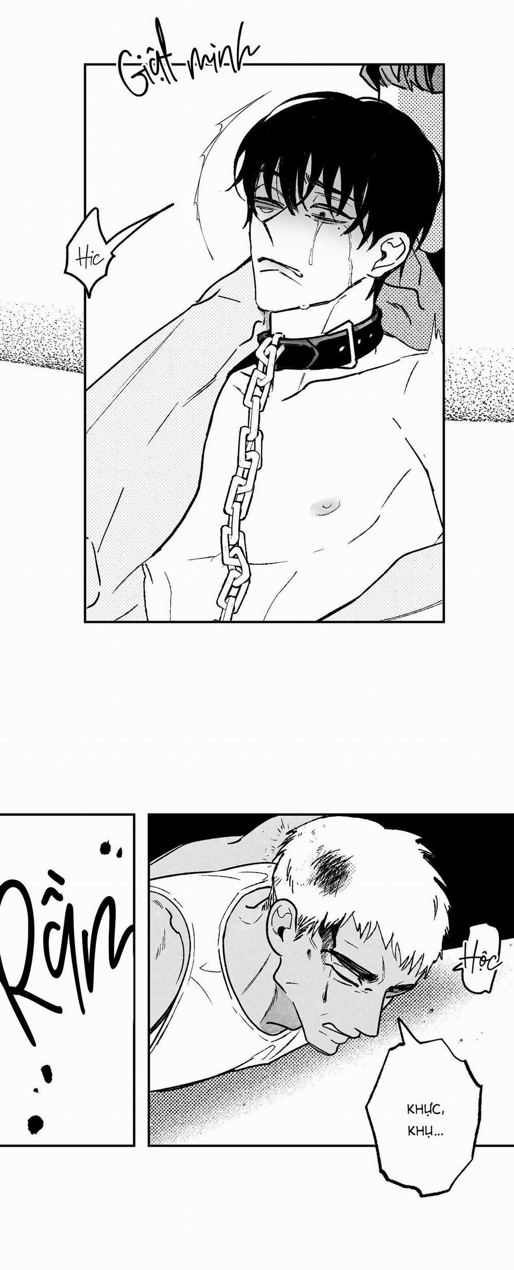 (Cbunu) Sự Kết Hợp Hoàn Hảo 25 trang 3