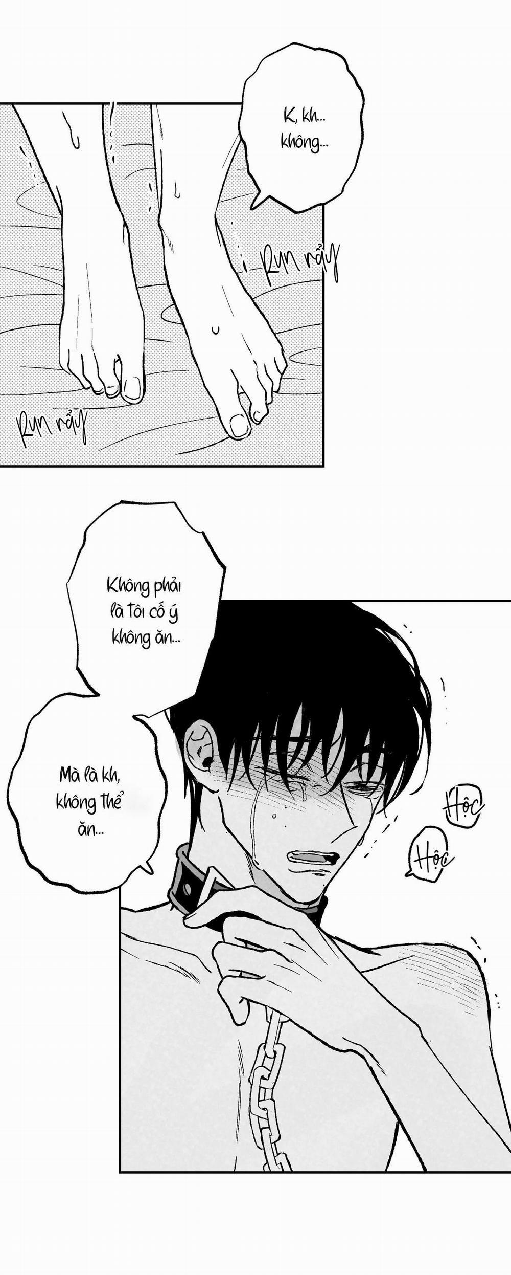 (Cbunu) Sự Kết Hợp Hoàn Hảo 26 trang 18