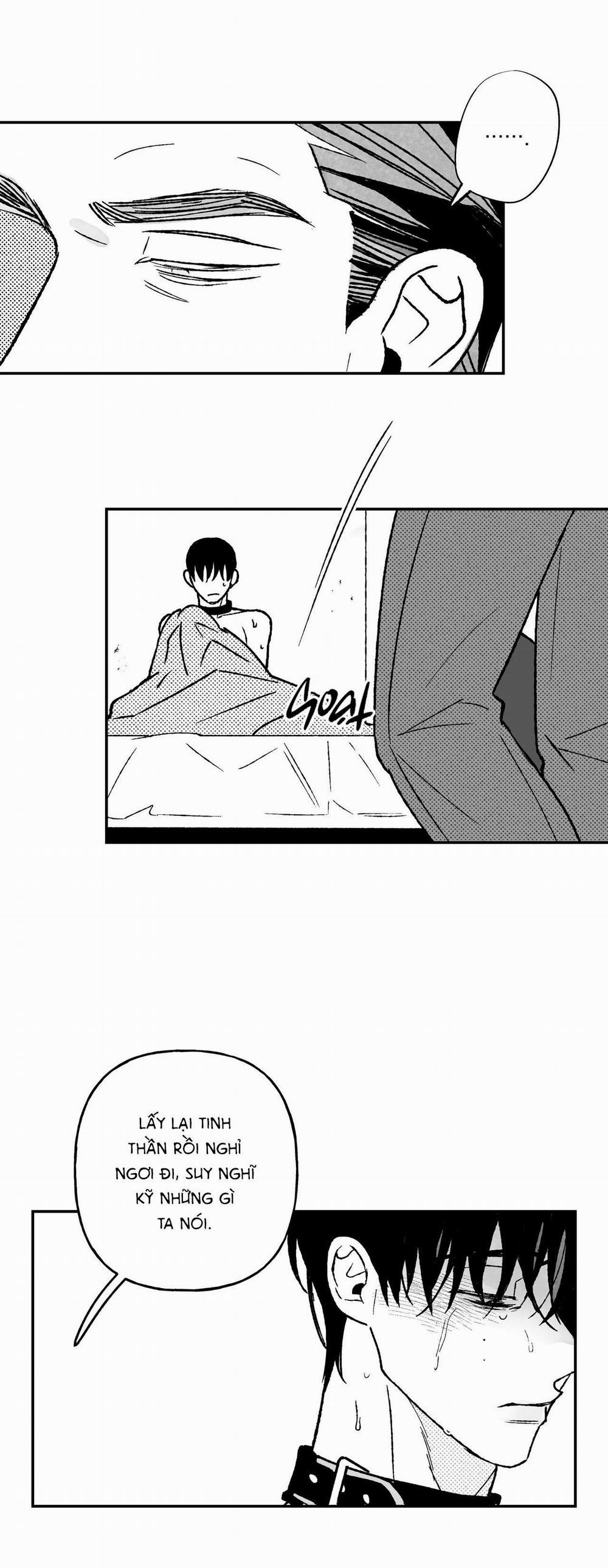 (Cbunu) Sự Kết Hợp Hoàn Hảo 27 trang 12