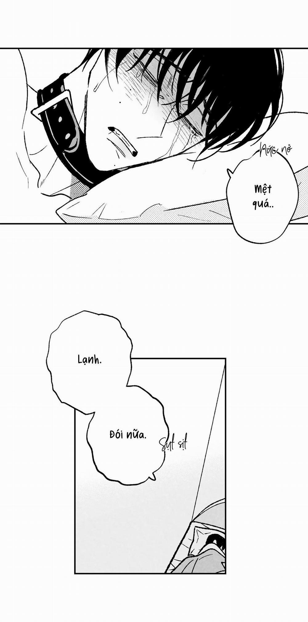 (Cbunu) Sự Kết Hợp Hoàn Hảo 27 trang 21