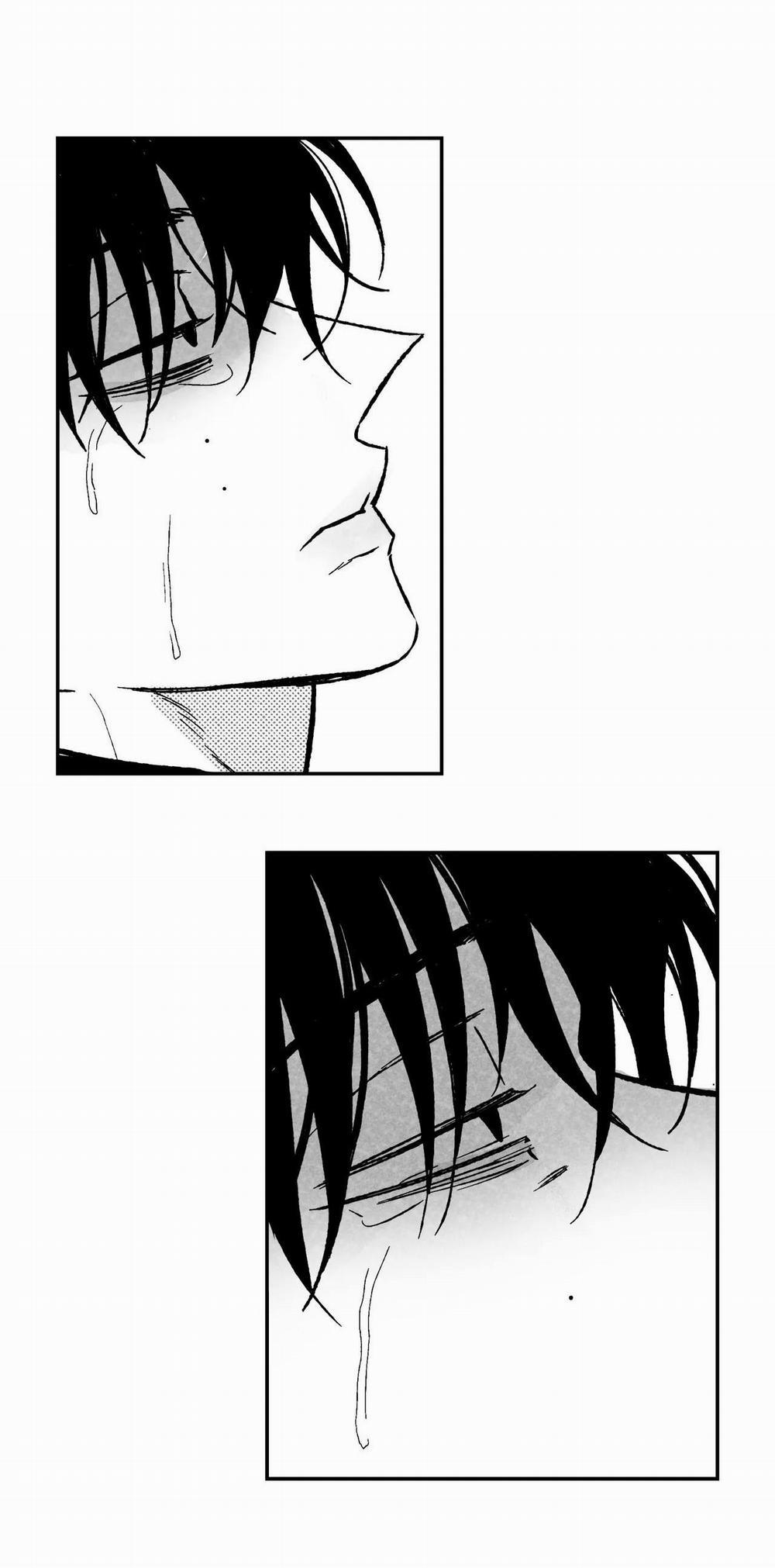 (Cbunu) Sự Kết Hợp Hoàn Hảo 27 trang 5