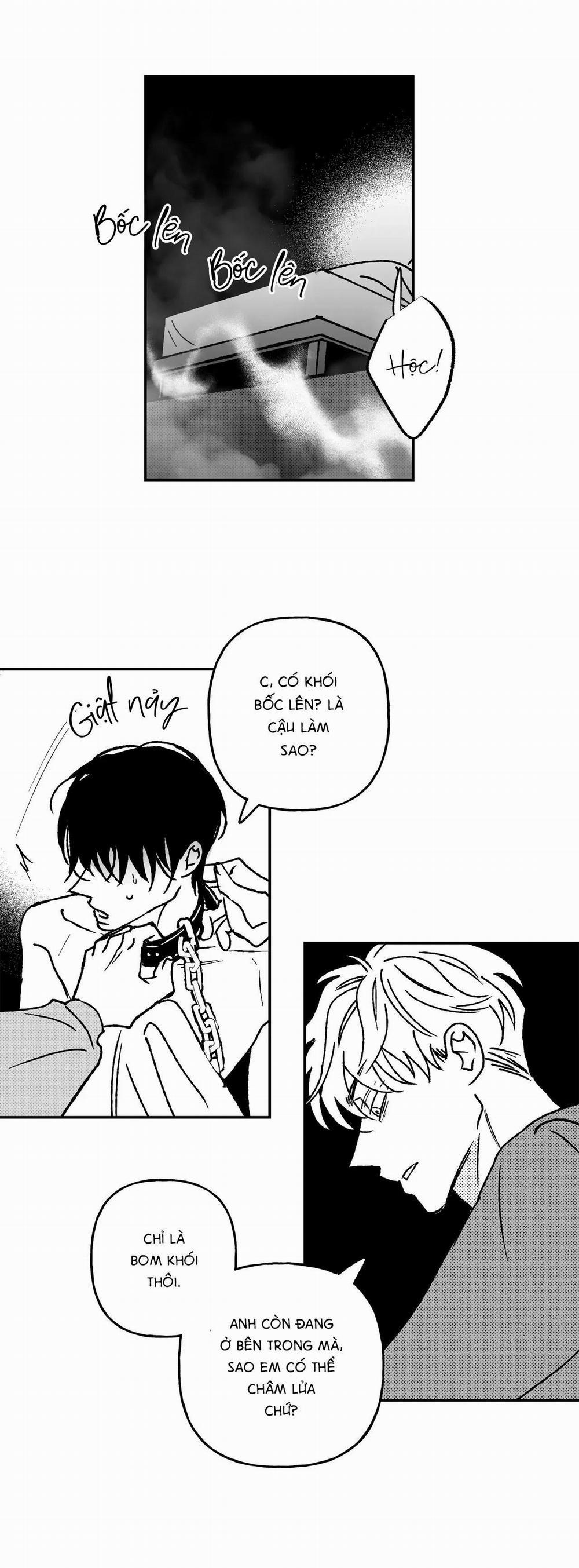 (Cbunu) Sự Kết Hợp Hoàn Hảo 28 trang 11